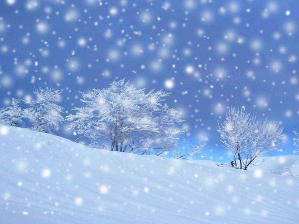 一场感情就像飘落的雪花是什么歌