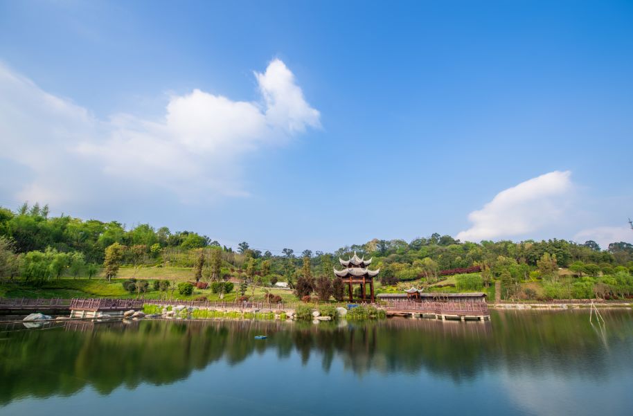 仰望蔚蓝的天空是什么歌