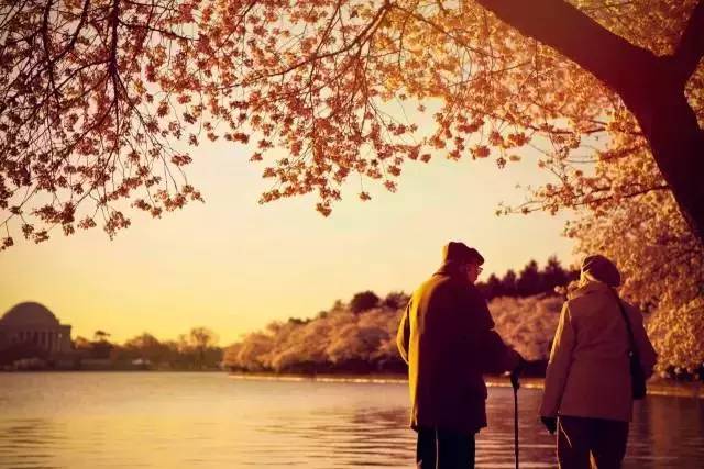 走在那老路上是什么歌