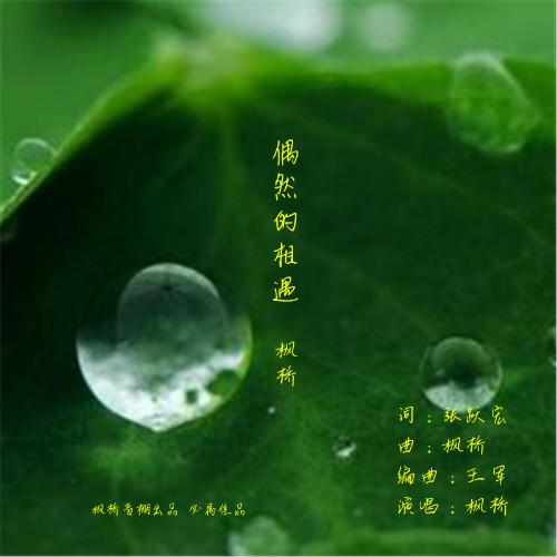 相识是偶然 什么歌