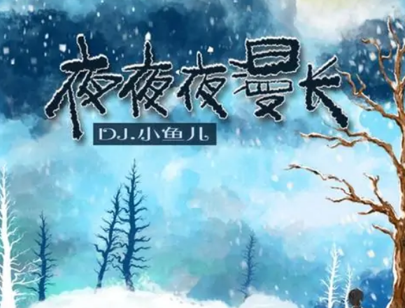 夜夜夜漫长是什么歌