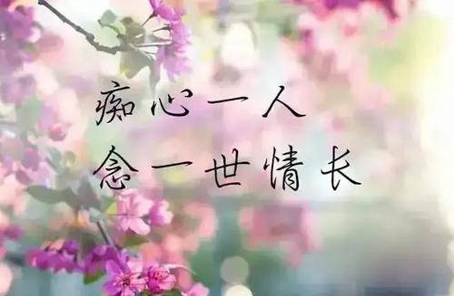 是想念如你温柔过境是什么歌