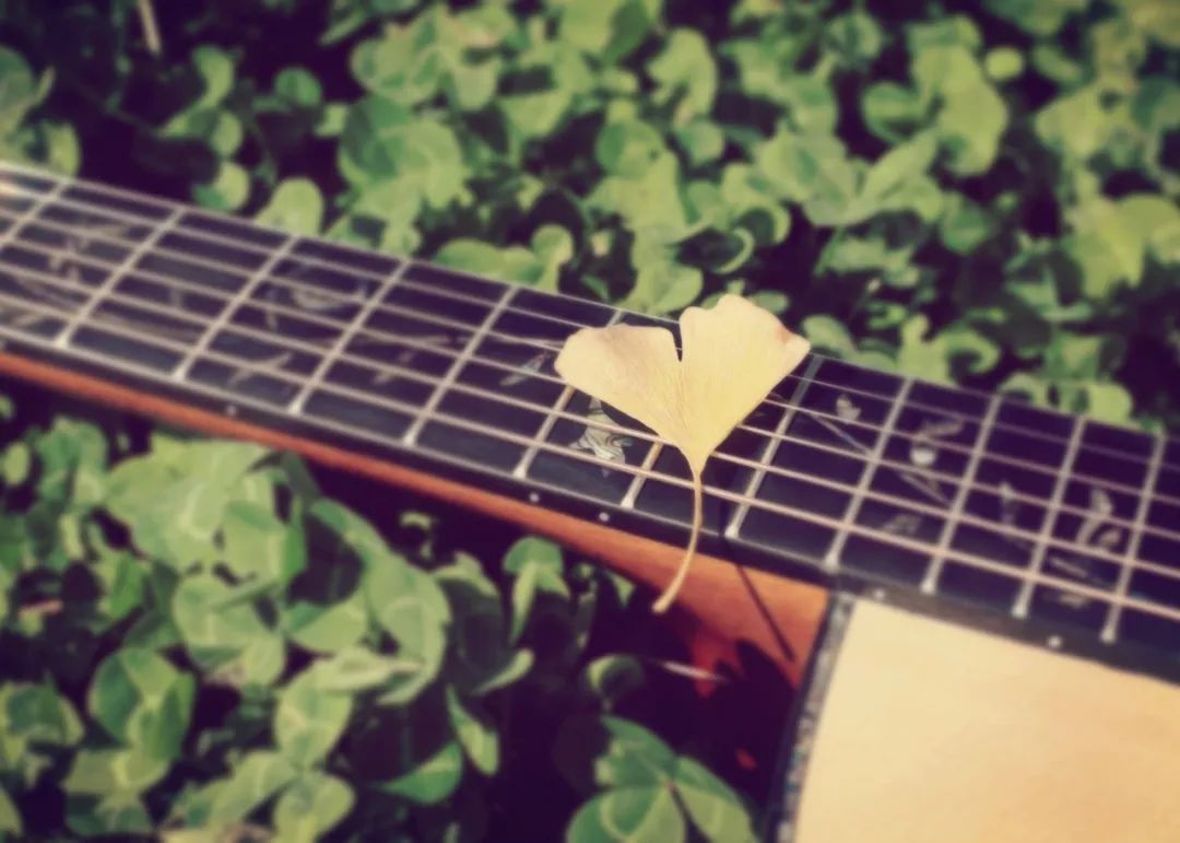 像我这样碌碌无为的人是什么歌