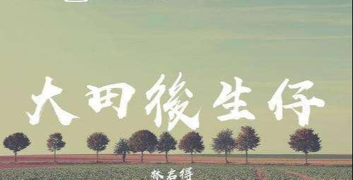 一条大路走两边闽南语是什么歌