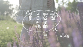 我看着你转身离去是什么歌