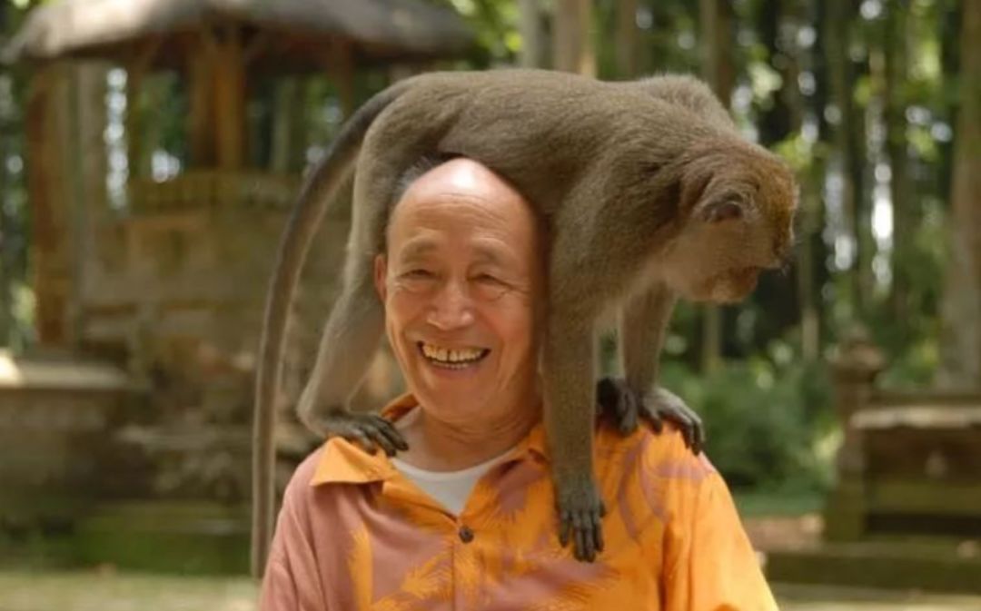 如果有一天你离我远去是什么歌