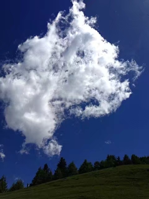 越过绵绵的高山是什么歌