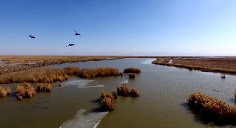 哗啦啦的黄河水日夜向东流是什么歌