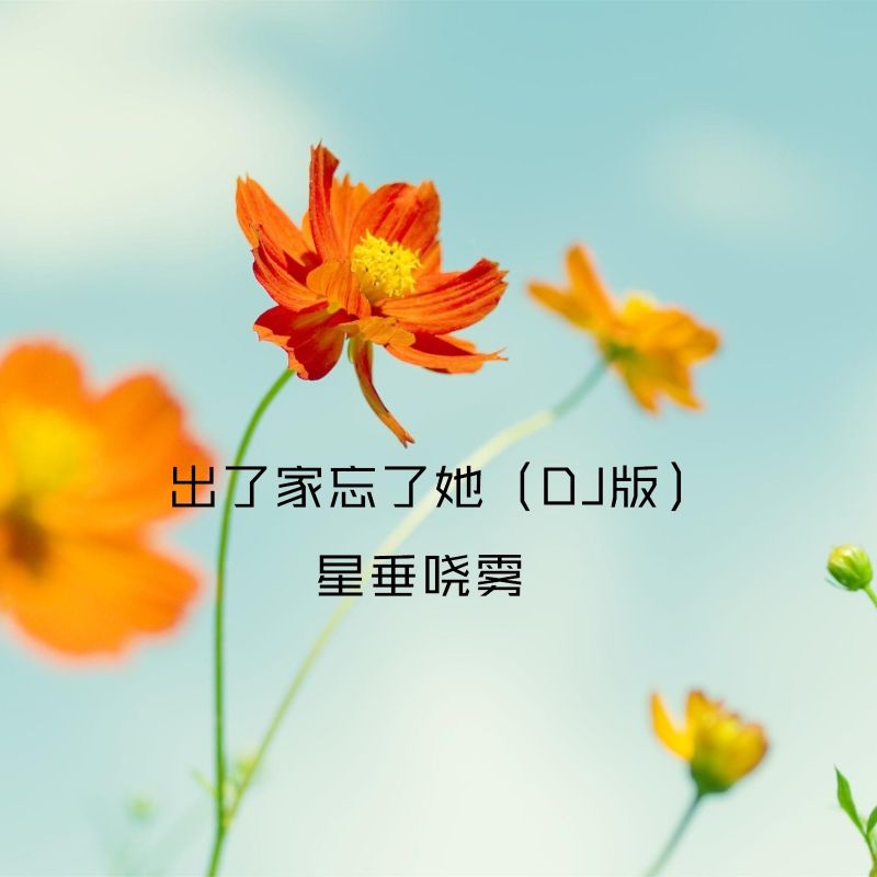 回过头已是沧桑什么歌