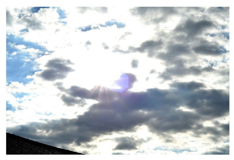 只想逍遥在人世间是什么歌