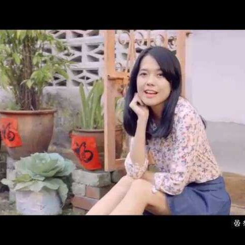 春风吻上我的脸是什么歌