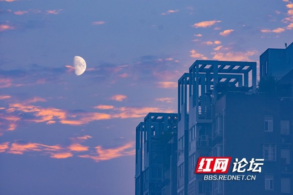 月儿弯弯照高楼是什么歌