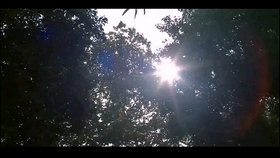 曾经的誓言你都忘了吗是什么歌