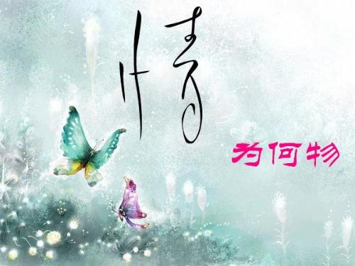 问世间情为何物一物降一物什么歌