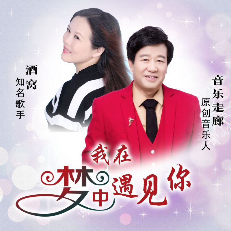 我在梦中遇见你是什么歌名