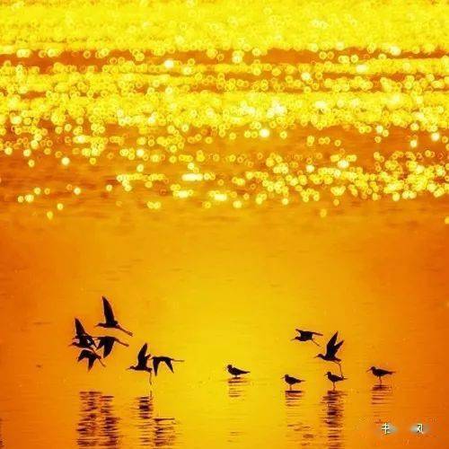 望穿了这个秋天是什么歌