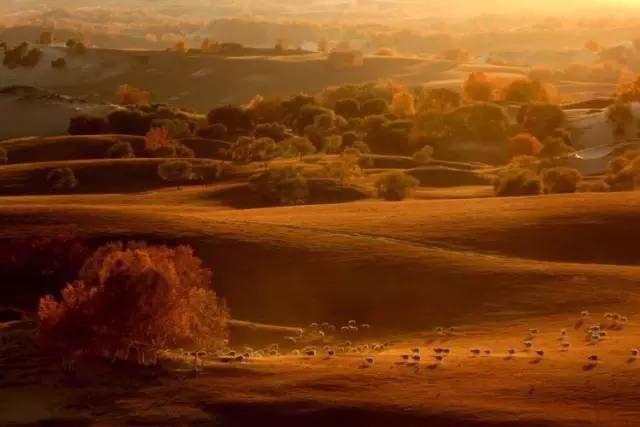 从此各奔东西是什么歌