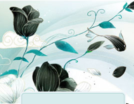 我是一滴远方孤星的泪水是什么歌