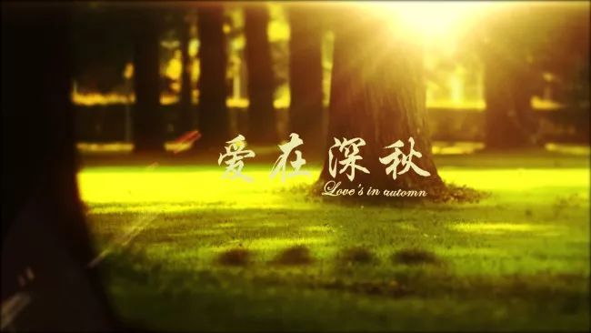 仿佛就在昨天是什么歌