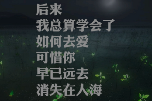 初闻不知曲中意是什么歌曲