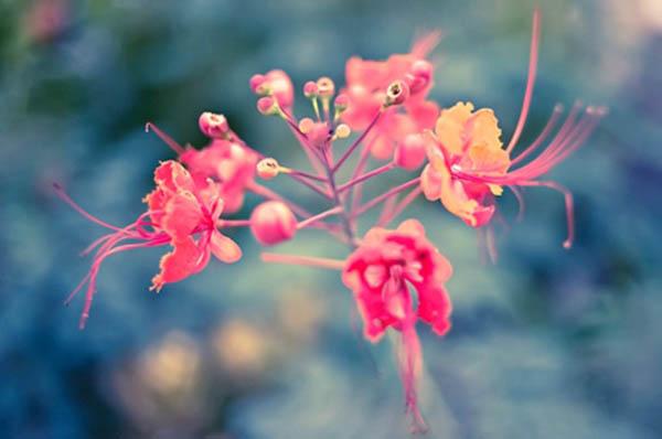 换不回青丝已尽成灰是什么歌