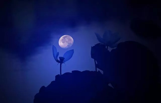 如果爱像一缕月光是什么歌