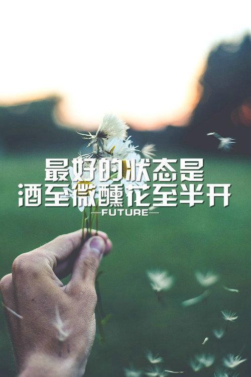 没有遗憾没有波澜是什么歌