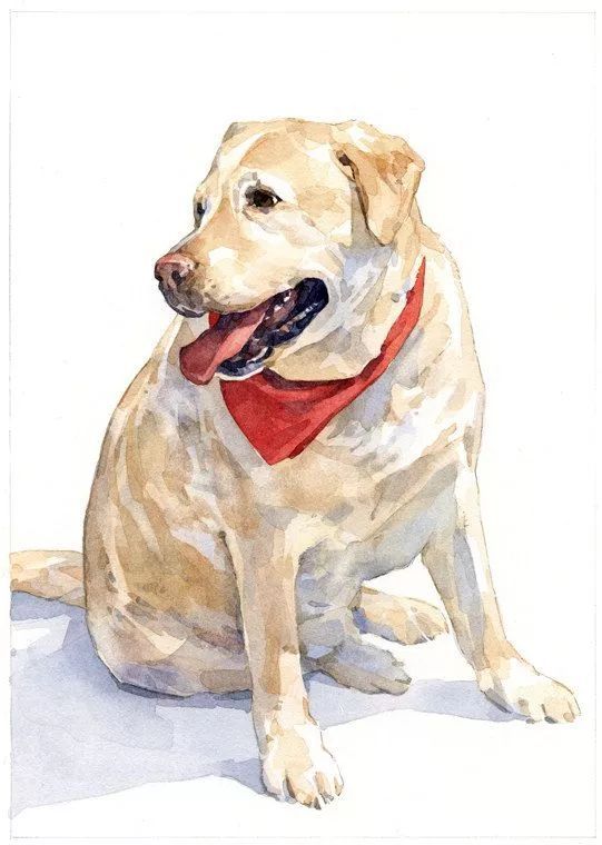 狗啊狗啊单身狗啊是什么歌