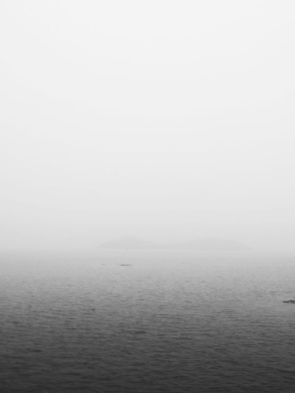 迷雾迷雾迷了路什么歌