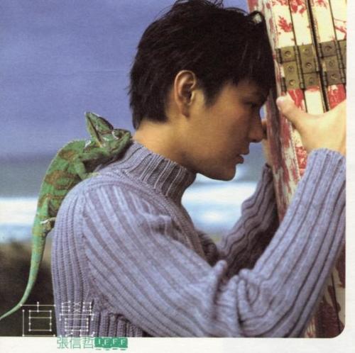 想逃逃不掉,想走也走不了是什么歌