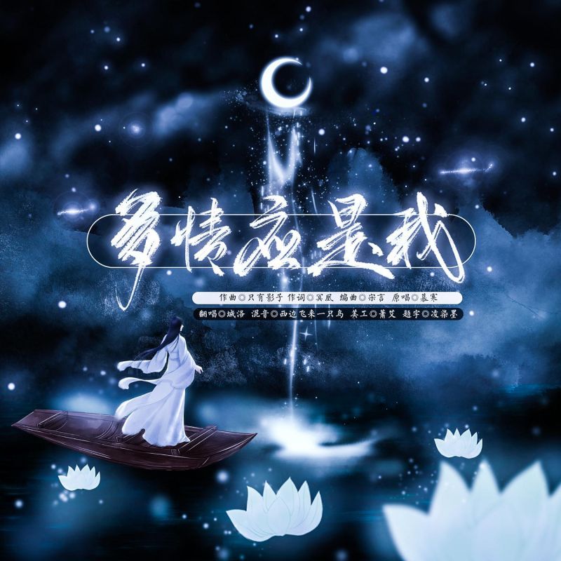 你听今夜的风它几多情什么歌