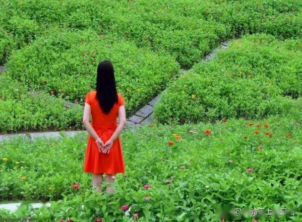 我们曾经小心翼翼爱过对方是什么歌