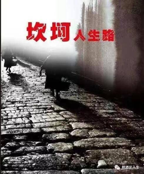 不怕命运多坎坷是什么歌