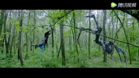 曾见浮云万变沧海桑田是什么歌