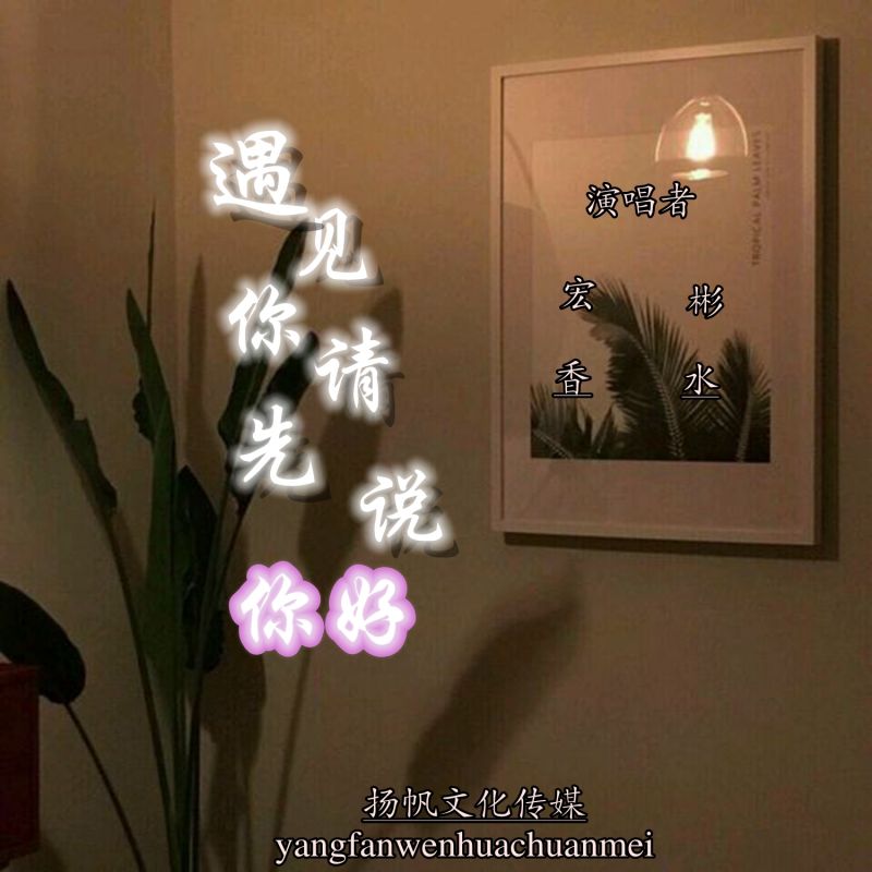 前半生的风景对你讲什么歌