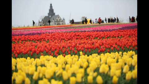 花花的世界忙碌的你我是什么歌
