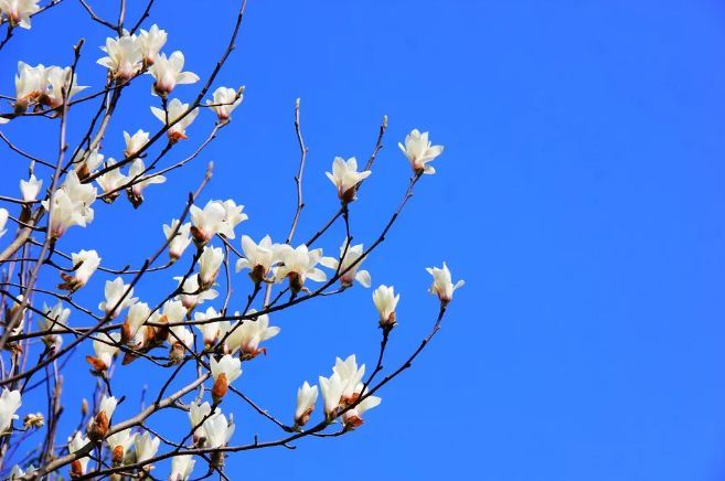 天蓝蓝水清清是什么歌的歌词