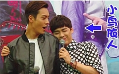 如花似梦我们短暂的相逢叫什么歌