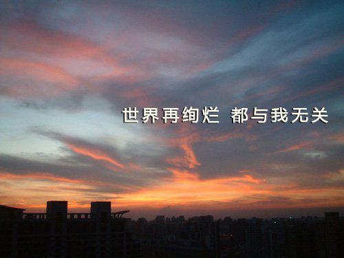 等不到你的晚安什么歌