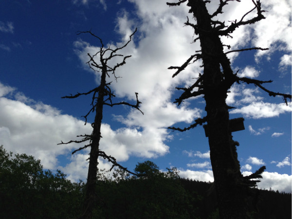 你是我生命中的过客是什么歌