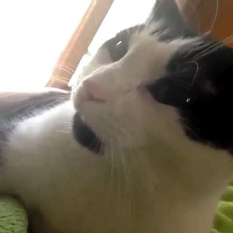 i can say you know是什么歌