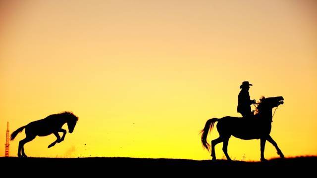 什么烦恼通通都忘掉叫什么歌