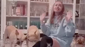 myall中文版叫什么歌