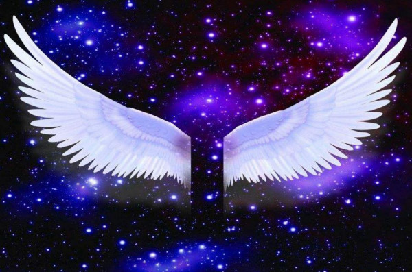 我的脚步,梦想的翅膀什么歌