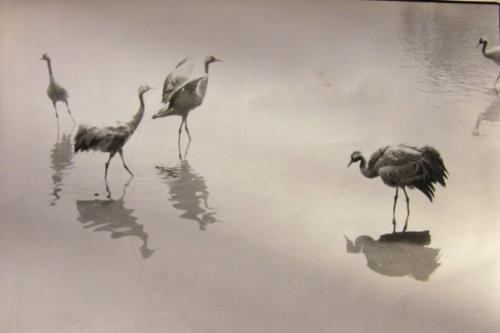 走遍千山和万水是什么歌里的歌词