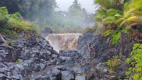 春天里的小雨淅沥沥下个不停是什么歌