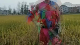 别让我伤心我就躲在小树林是什么歌