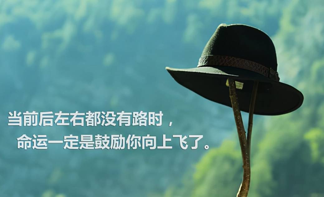 注定一生与天争是什么歌