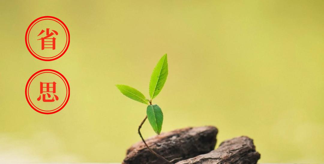 为何你不懂有爱就有痛什么歌曲