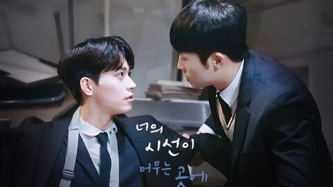 徘徊在目光内是什么歌